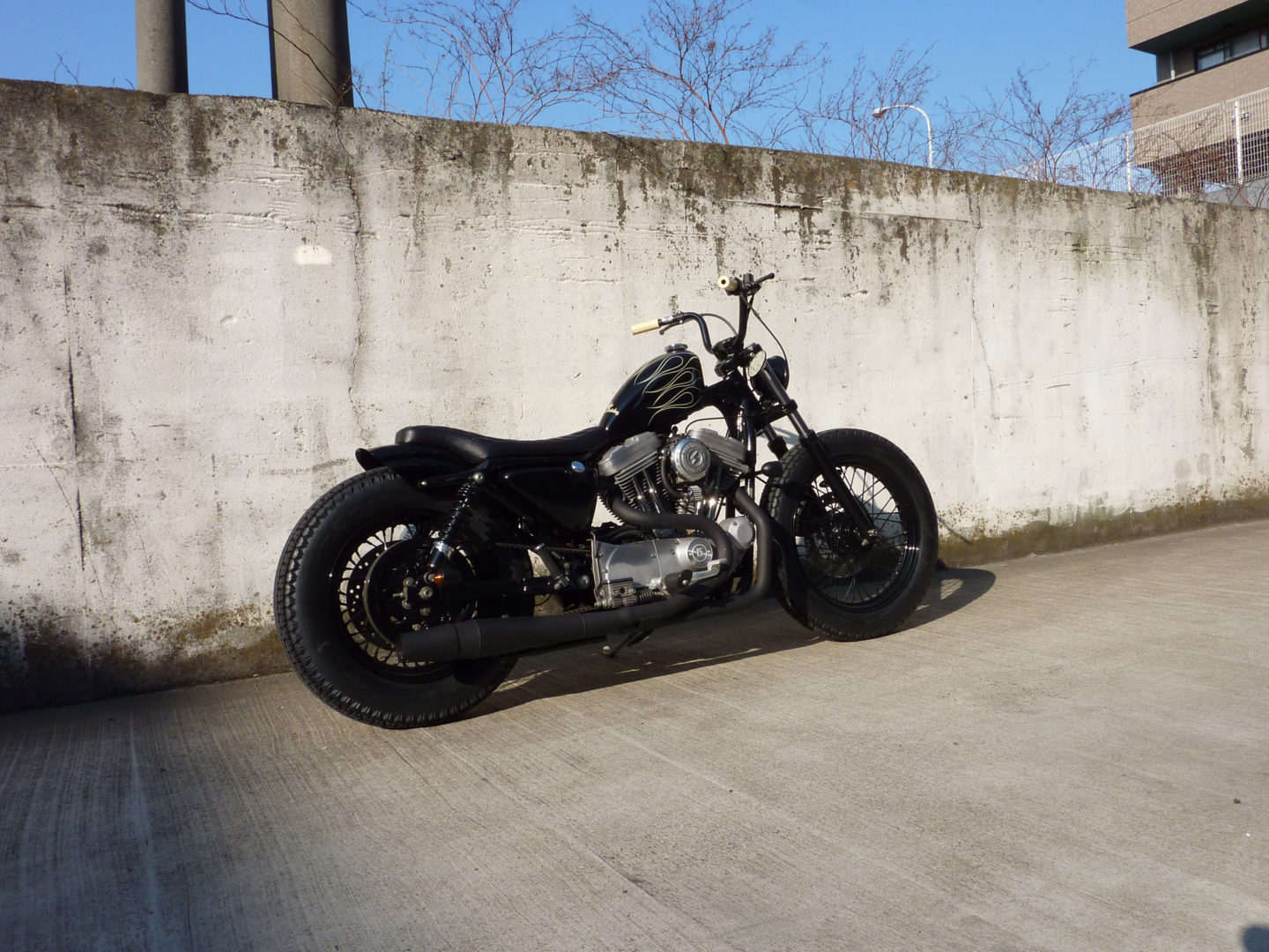 SPORTSTER CUSTOM SP-09