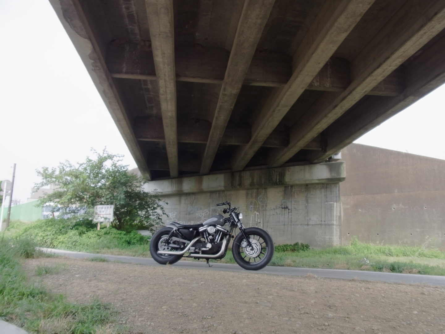 SPORTSTER CUSTOM SP-12