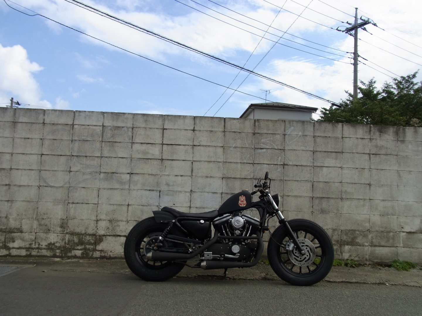 SPORTSTER CUSTOM SP-13