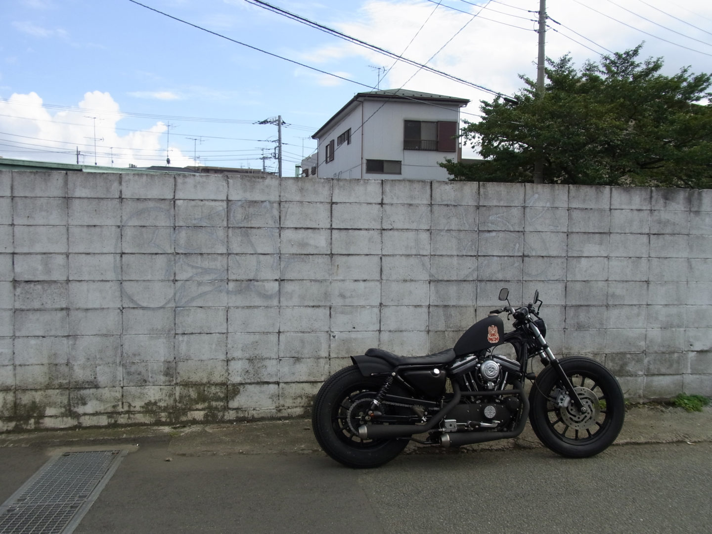 SPORTSTER CUSTOM SP-13