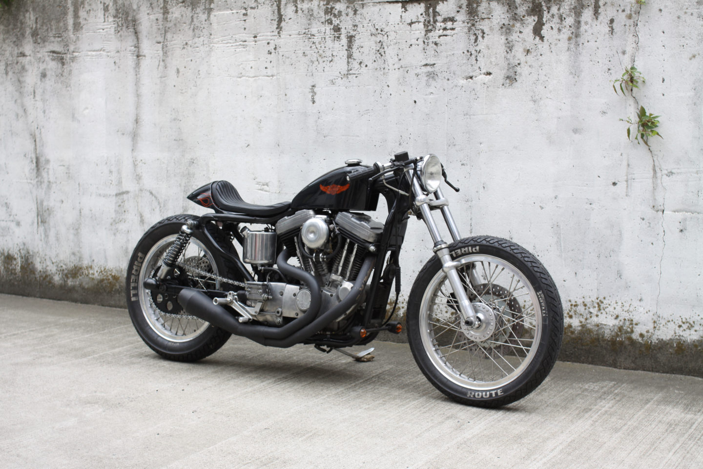 SPORTSTER CUSTOM SP-29