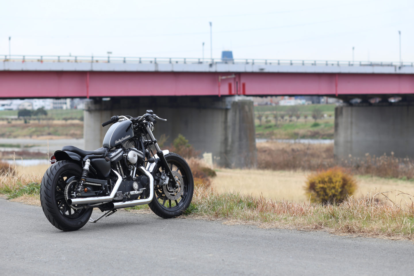 SPORTSTER CUSTOM SP-50