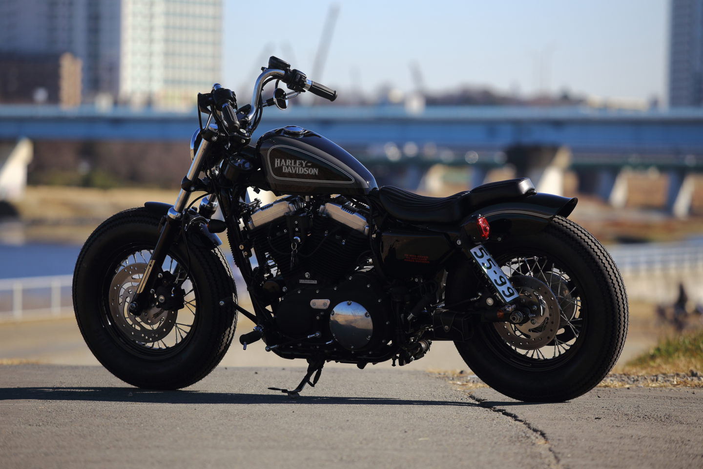 SPORTSTER CUSTOM SP-51