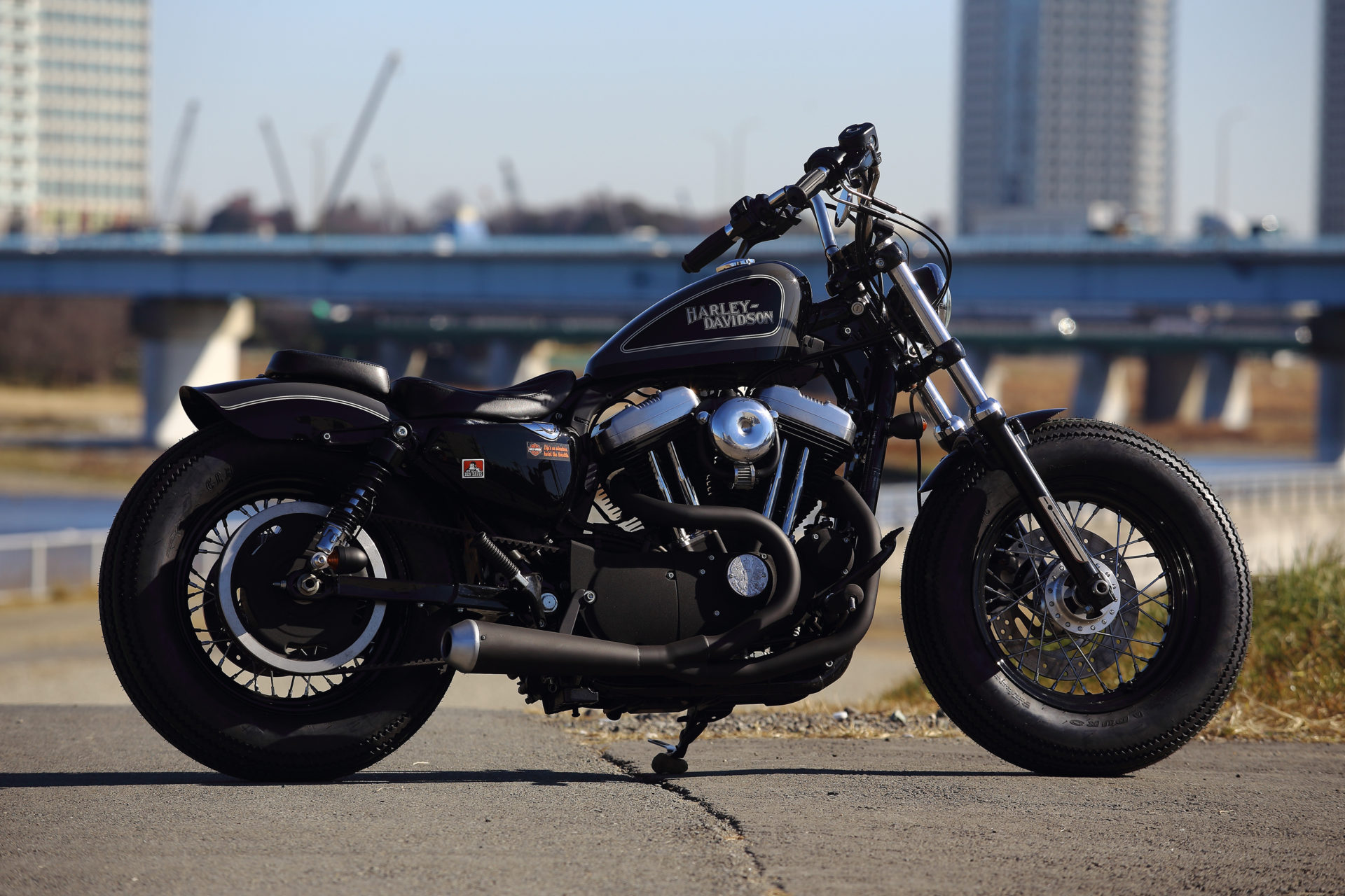 SPORTSTER CUSTOM SP-51