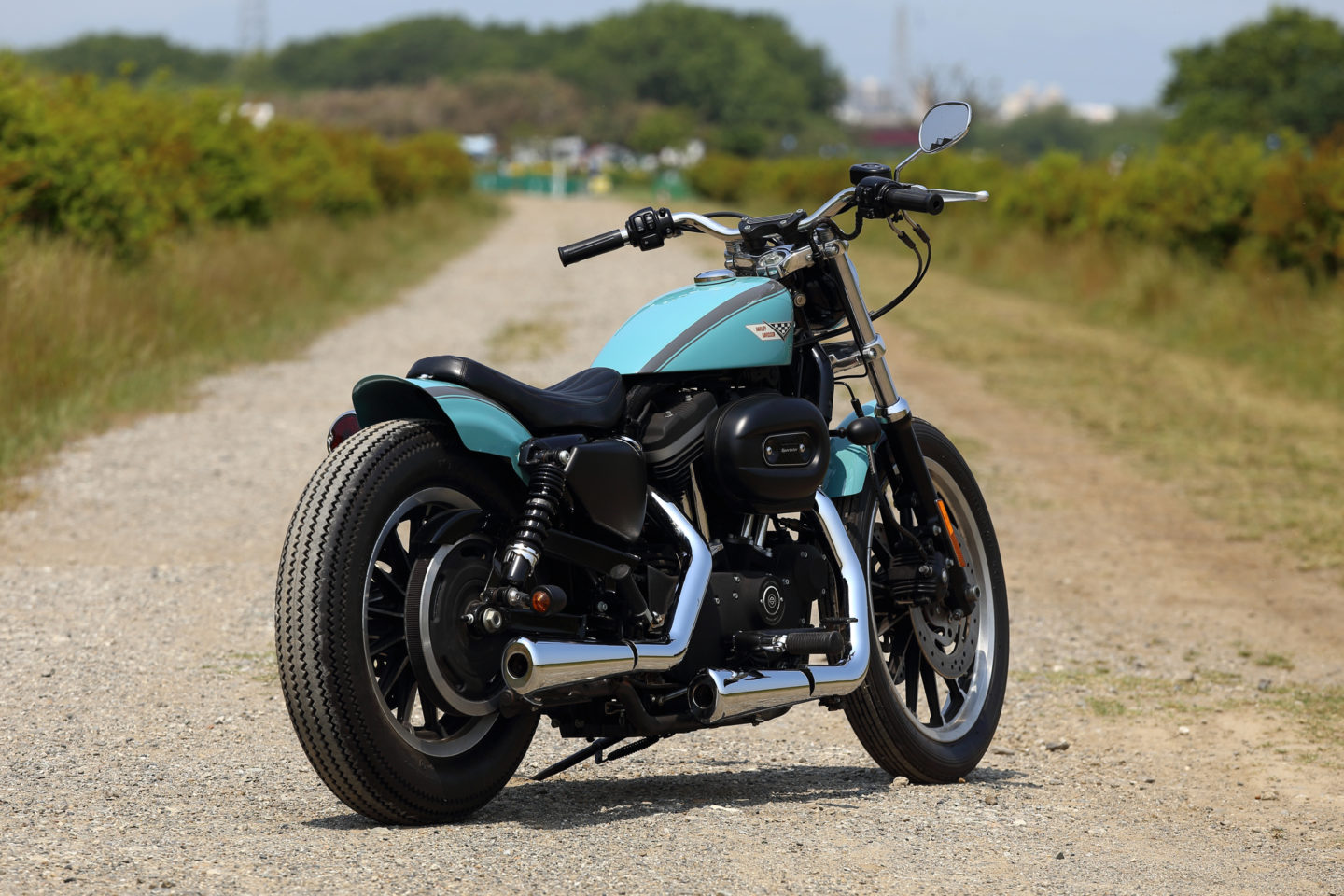 SPORTSTER CUSTOM SP-55