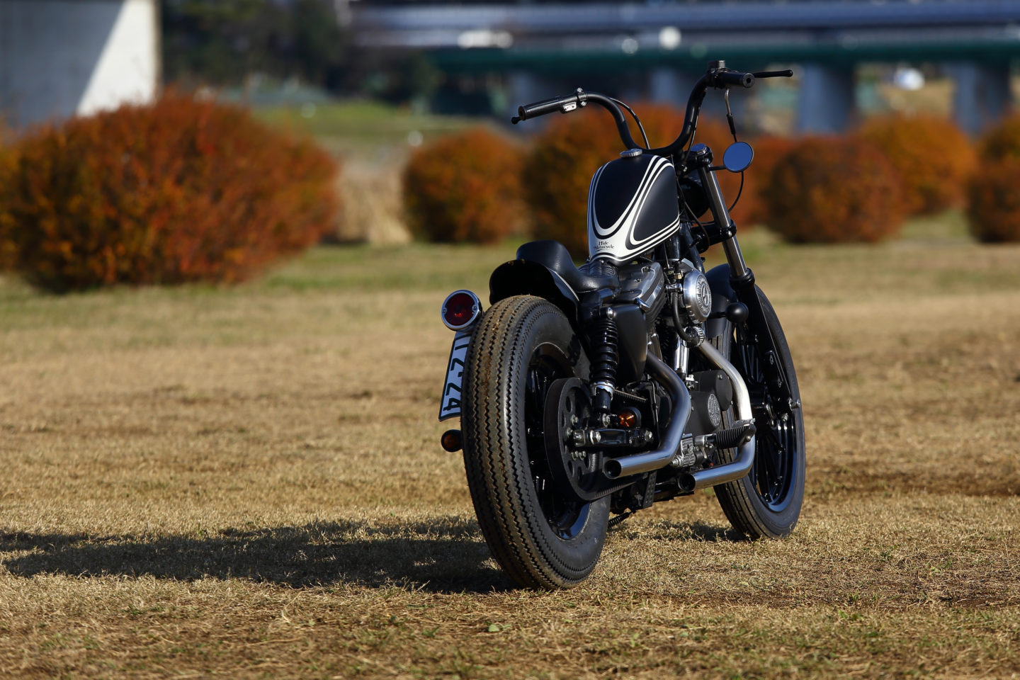 SPORTSTER CUSTOM SP-86