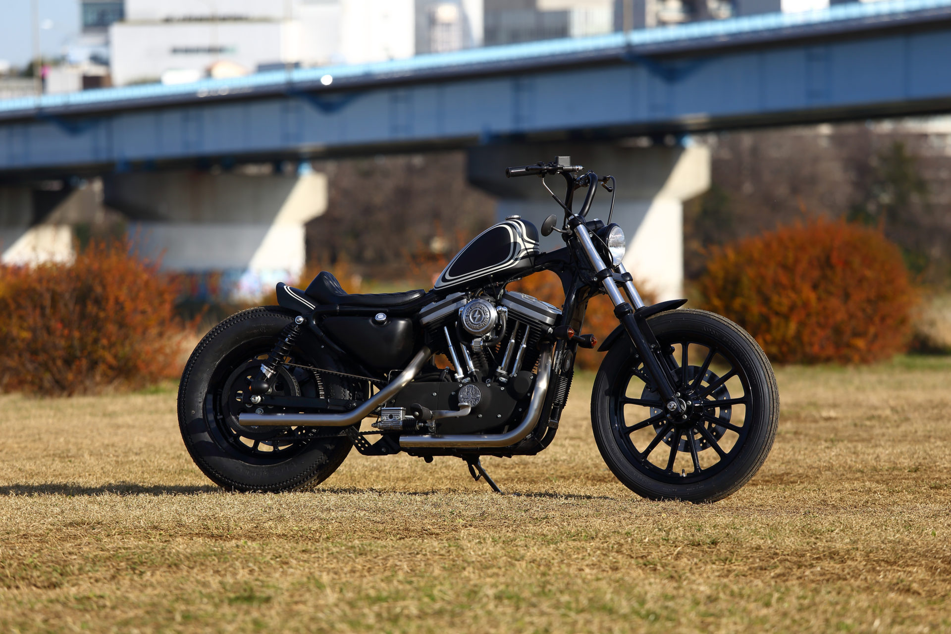 SPORTSTER CUSTOM SP-86