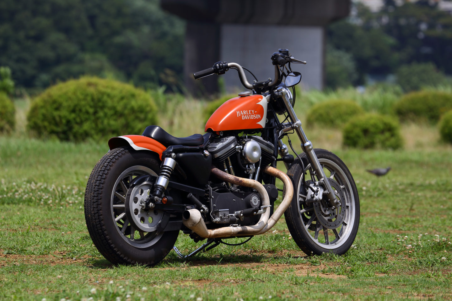 SPORTSTER CUSTOM SP-88