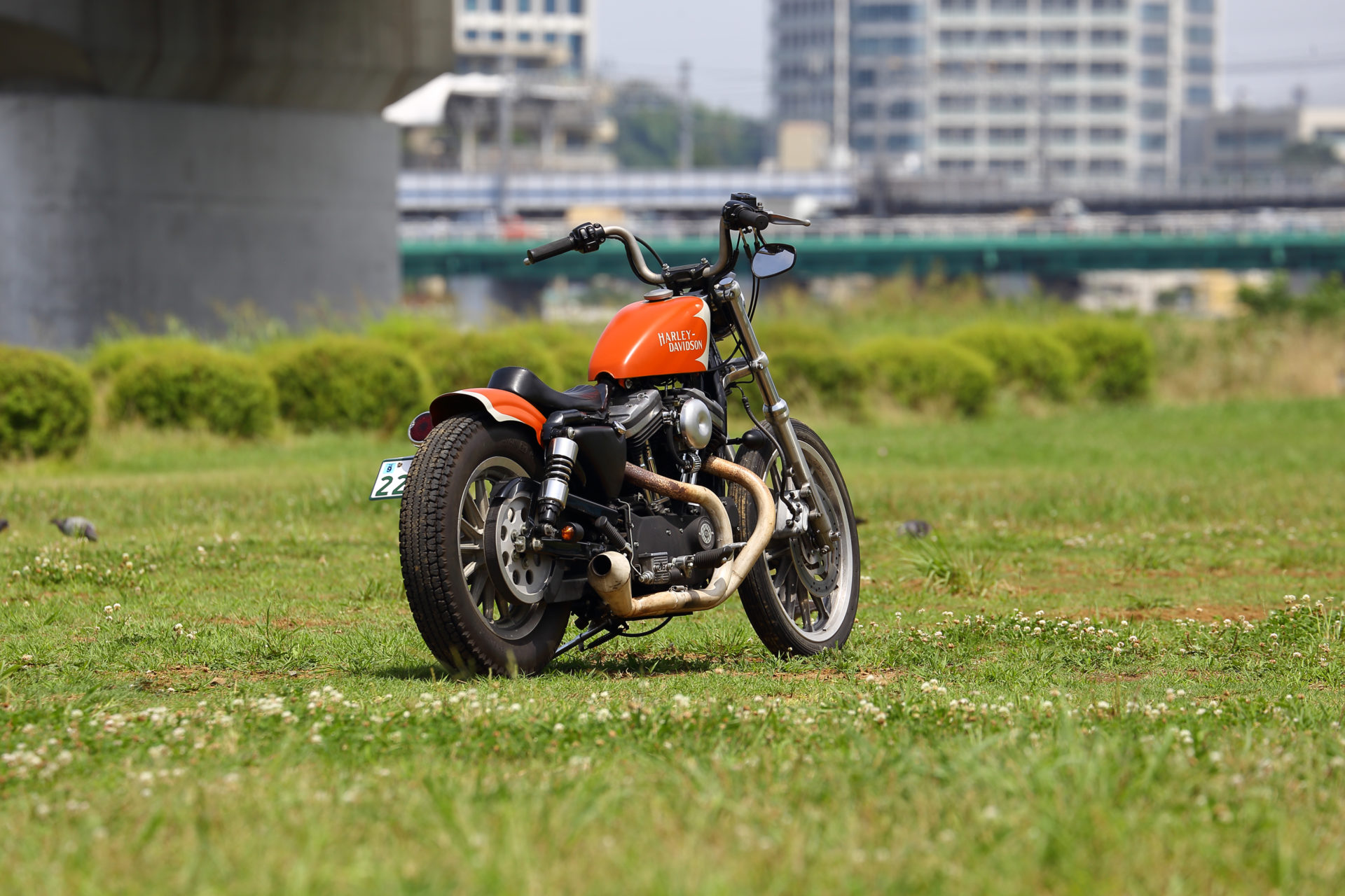 SPORTSTER CUSTOM SP-88