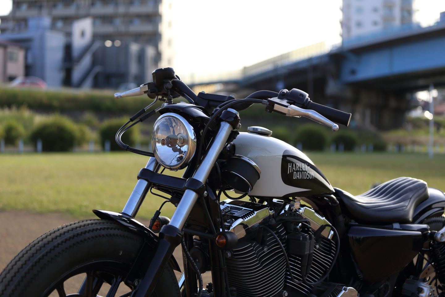 SPORTSTER CUSTOM SP-96