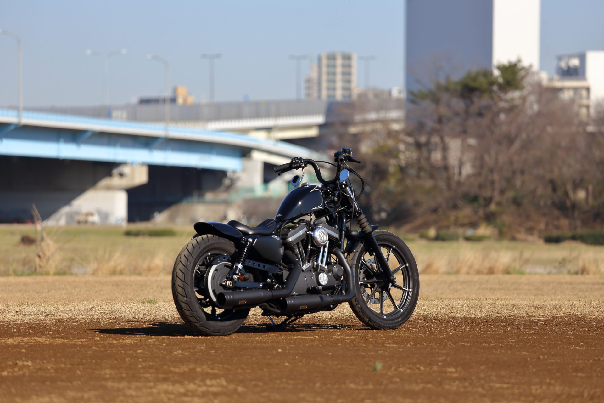 SPORTSTER CUSTOM SP-99