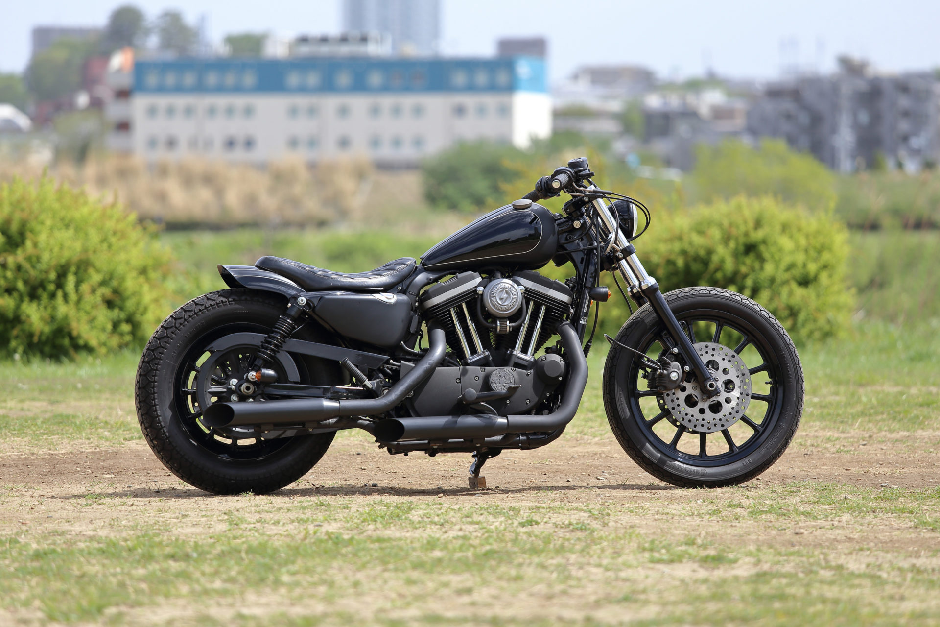 SPORTSTER CUSTOM SP-101